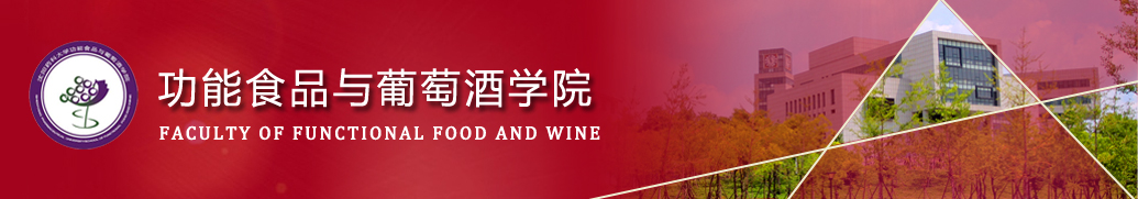 2026国际足联世界杯
